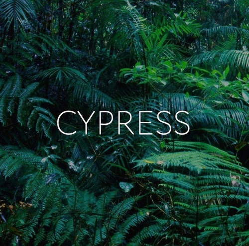 Гель лак Luxio Cypress #229,  15 мл фото 2